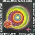 <b>Daevid Allen</b> • Banana Moon