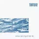 Tortoise: Millions Now Living Will Never Die