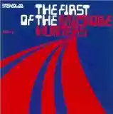 Stereolab: The First of the Microbe Hunters