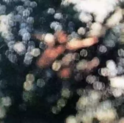 Cover Pink Floyd - Obscured by Clouds
