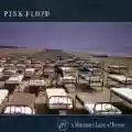 <b>Pink Floyd</b> • A Momentary Lapse of Reason