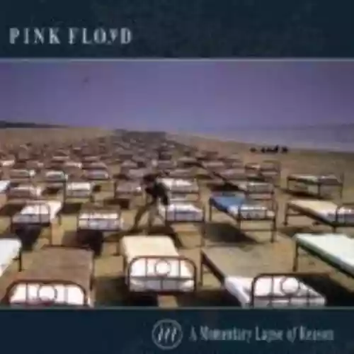 Cover di A Momentary Lapse of Reason