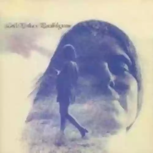 Cover Linda Perhacs - Parallelograms