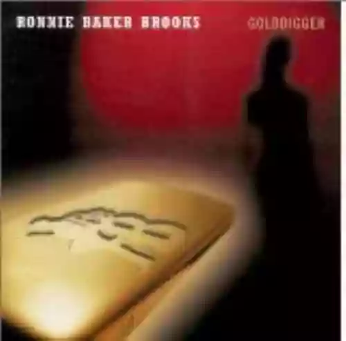 Cover di Golddigger