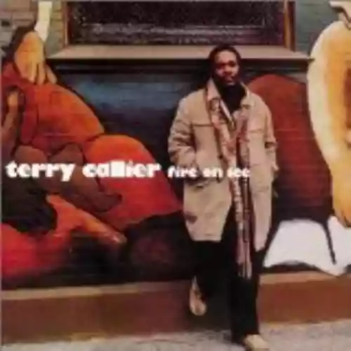 Cover Terry Callier - Fire on Ice