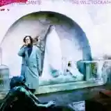 John Frusciante: The Will To Death