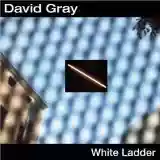 David Gray: White Ladder