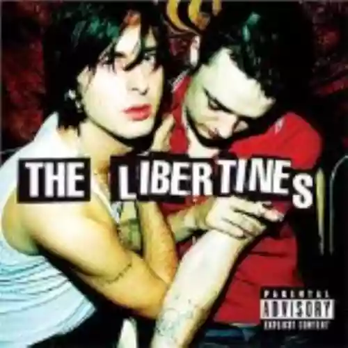 Cover di The Libertines