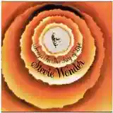 Stevie Wonder: Songs In The Key Of Life