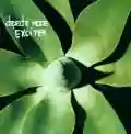 <b>Depeche Mode</b> • Exciter