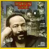 Marvin Gaye: Midnight Love