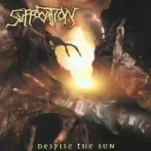 Cover di Despise the Sun