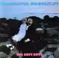 <b>The Soft Boys</b> • Underwater Moonlight