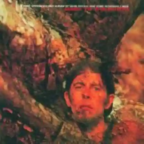 Cover John Mayall - Back to the Roots