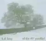 k.d. lang: Hymns of the 49th Parallel