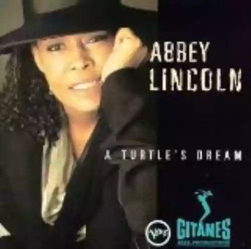 Cover di A Turtle's Dream