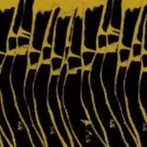 Cover Charalambides - Joy Shapes