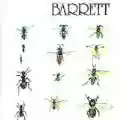 <b>Syd Barrett</b> • Barrett