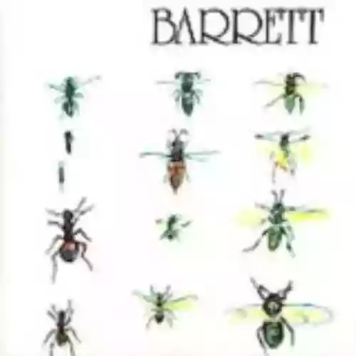 Cover Syd Barrett - Barrett