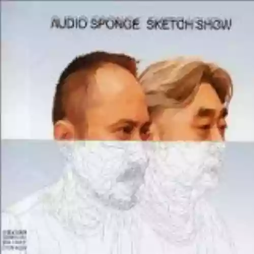 Cover di Audio Sponge