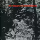 Six Organs of Admittance: Six Organs of Admittance