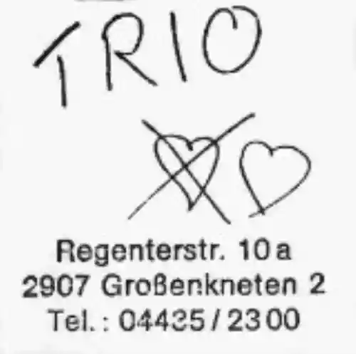 Cover Trio - Trio