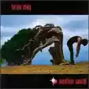 Brian May: Another World