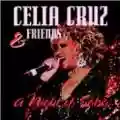 <b>Celia Cruz</b> • Celia Cruz & Friends - A Night of Salsa