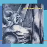 Screaming Trees: Dust