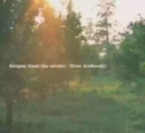 Cover Oren Ambarchi - Grapes From the Estate