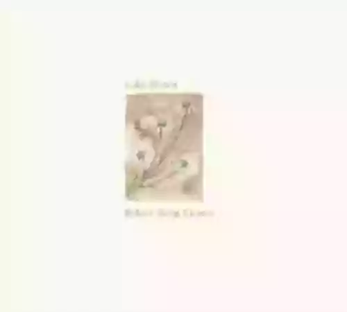 Cover di Before Sleep Comes