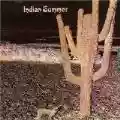 <b>Indian Summer</b> • Indian Summer