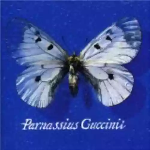 Cover Francesco Guccini - Parnassius Guccinii