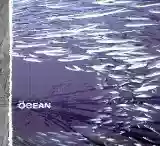 The Ocean: Fluxion