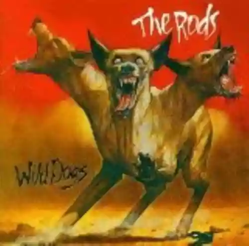 Cover The Rods - Wild Dogs