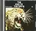 <b>Peter Green</b> • The End of the Game
