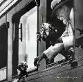 <b>Faith No More</b> • Album of the Year