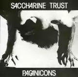 Saccharine Trust: Paginicons