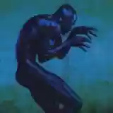 Seal: Human Being