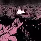 Pink Mountaintops: The Pink Mountaintops