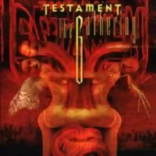 Cover Testament - The Gathering