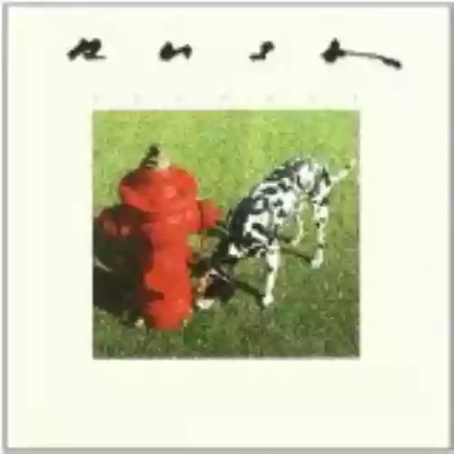 Cover di Signals