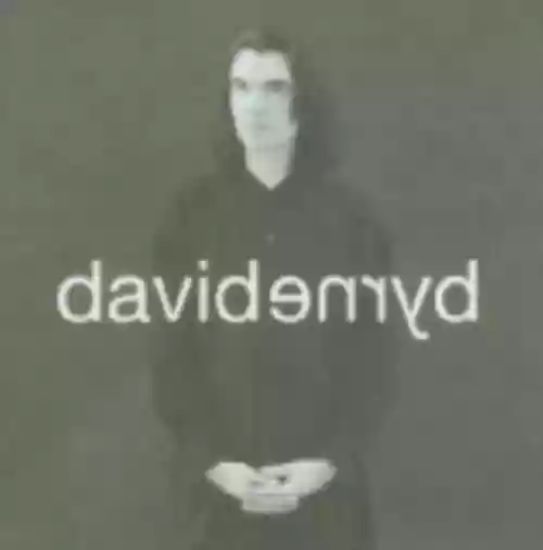Cover di David Byrne