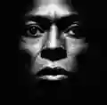 <b>Miles Davis</b> • Tutu