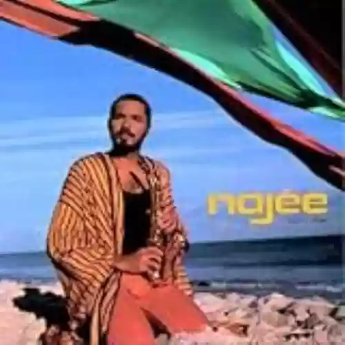 Cover Najee - Najee's Theme
