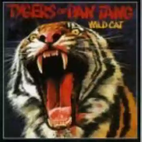 Cover di Wild Cat