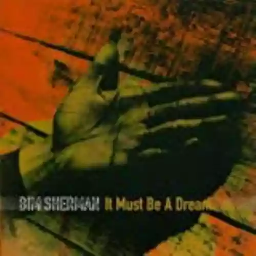 Cover di It Must Be a Dream