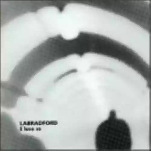Cover Labradford - E luxo so