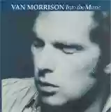 Van Morrison: Into The Music