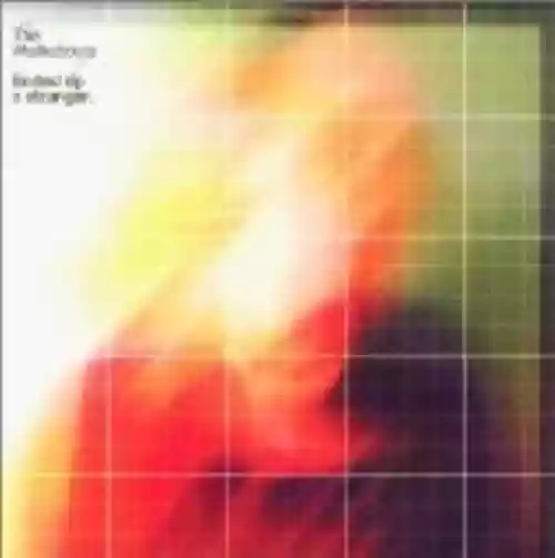 Cover di Ended Up a Stranger